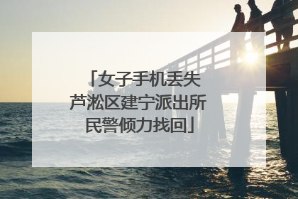 女子手机丢失 芦淞区建宁派出所民警倾力找回