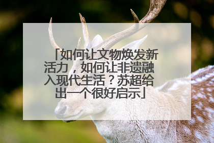 如何让文物焕发新活力，如何让非遗融入现代生活？苏超给出一个很好启示