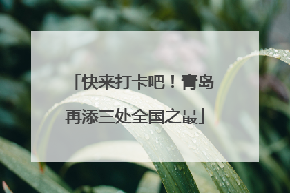 快来打卡吧！青岛再添三处全国之最