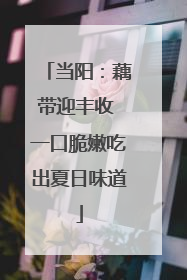当阳：藕带迎丰收 一口脆嫩吃出夏日味道