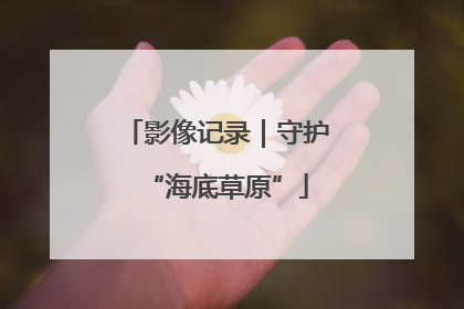 影像记录｜守护“海底草原”