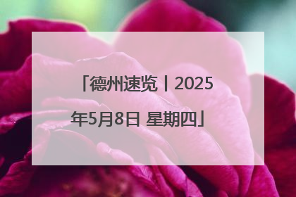 德州速览丨2025年5月8日 星期四