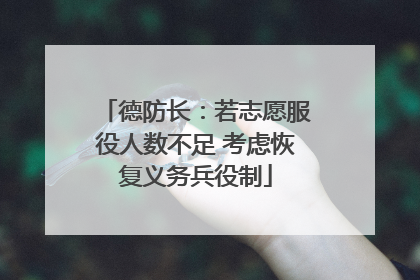 德防长：若志愿服役人数不足 考虑恢复义务兵役制