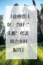 徐州贾汪区：当好“头雁”代表 助力乡村振兴