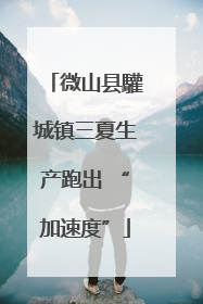 微山县驩城镇三夏生产跑出 “加速度”