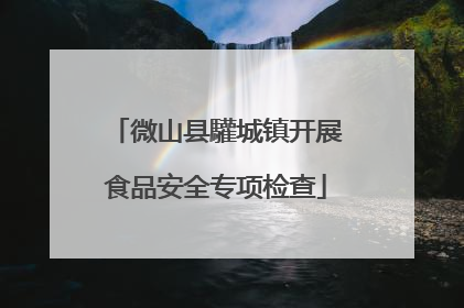 微山县驩城镇开展食品安全专项检查