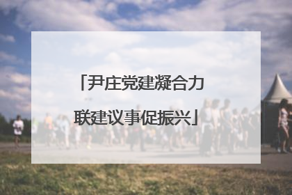 尹庄党建凝合力 联建议事促振兴