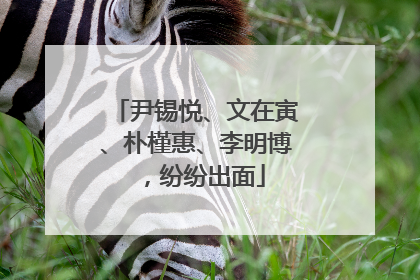 尹锡悦、文在寅、朴槿惠、李明博，纷纷出面