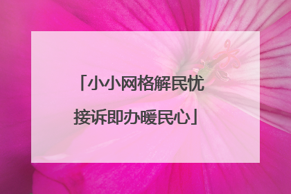 小小网格解民忧 接诉即办暖民心