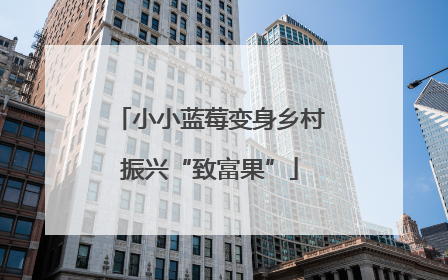 小小蓝莓变身乡村振兴“致富果”