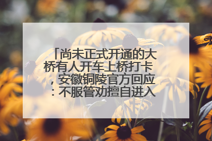 尚未正式开通的大桥有人开车上桥打卡，安徽铜陵官方回应：不服管劝擅自进入，已采取措施