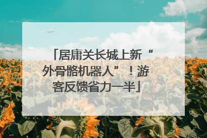 居庸关长城上新“外骨骼机器人”！游客反馈省力一半