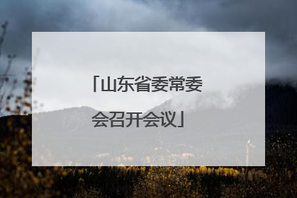 山东省委常委会召开会议
