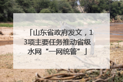 山东省政府发文，13项主要任务推动省级水网“一网统管”