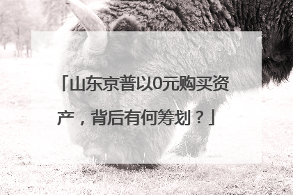 山东京普以0元购买资产，背后有何筹划？