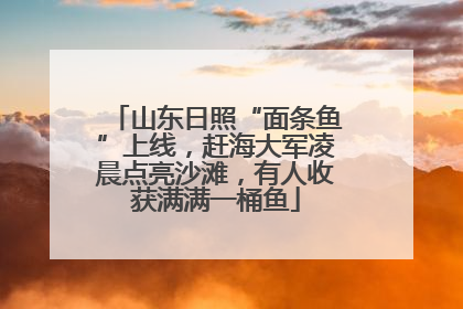 山东日照“面条鱼”上线，赶海大军凌晨点亮沙滩，有人收获满满一桶鱼