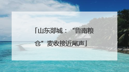 山东郯城：“鲁南粮仓”麦收接近尾声