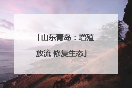 山东青岛：增殖放流 修复生态