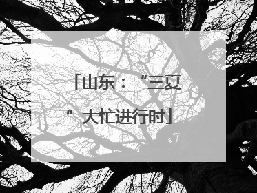 山东：“三夏”大忙进行时