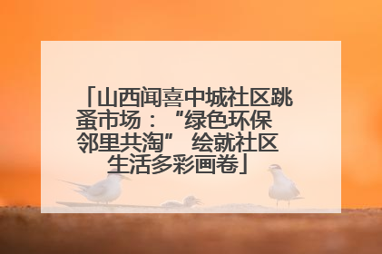 山西闻喜中城社区跳蚤市场：“绿色环保 邻里共淘” 绘就社区生活多彩画卷