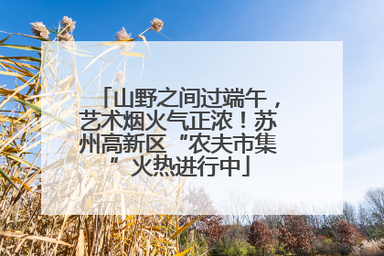 山野之间过端午，艺术烟火气正浓！苏州高新区“农夫市集”火热进行中