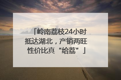 岭南荔枝24小时抵达湖北，产销两旺性价比真“给荔”