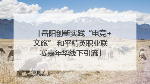 岳阳创新实践“电竞+文旅” 和平精英职业联赛嘉年华线下引流