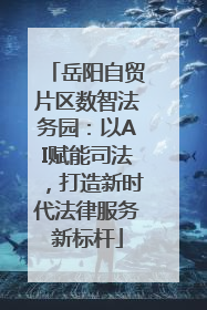 岳阳自贸片区数智法务园：以AI赋能司法，打造新时代法律服务新标杆