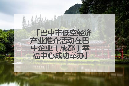 巴中市低空经济产业推介活动在巴中企业（成都）幸福中心成功举办