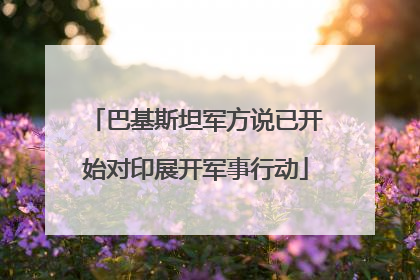 巴基斯坦军方说已开始对印展开军事行动