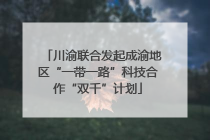 川渝联合发起成渝地区“一带一路”科技合作“双千”计划