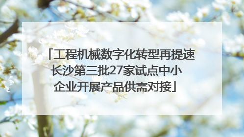 工程机械数字化转型再提速 长沙第三批27家试点中小企业开展产品供需对接