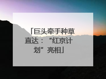 巨头牵手种草直达：“红京计划”亮相