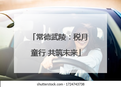常德武陵：税月童行 共筑未来