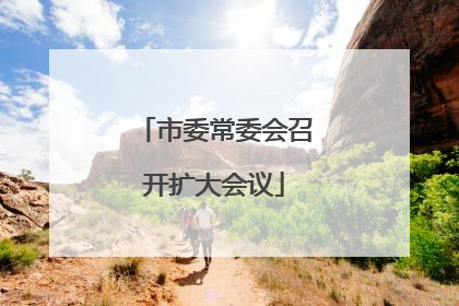 市委常委会召开扩大会议