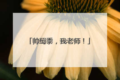 帅蜀黍，我老师！