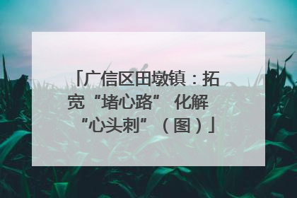 广信区田墩镇：拓宽“堵心路” 化解“心头刺”（图）