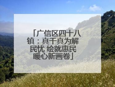 广信区四十八镇：真干真为解民忧 绘就惠民暖心新画卷