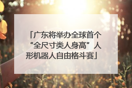 广东将举办全球首个“全尺寸类人身高”人形机器人自由格斗赛