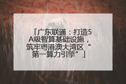 广东联通：打造5A级智算基础设施，筑牢粤港澳大湾区“第一算力引擎”