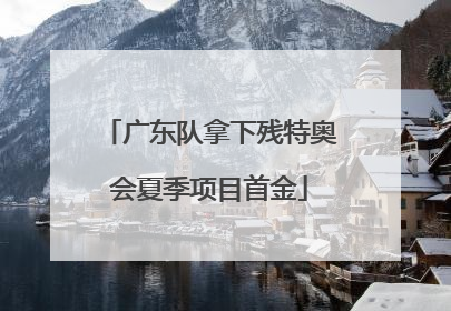 广东队拿下残特奥会夏季项目首金