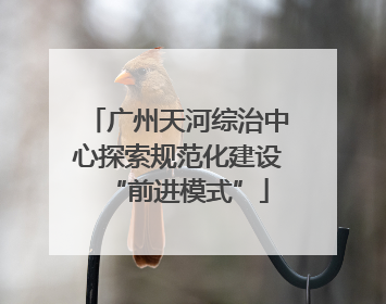 广州天河综治中心探索规范化建设“前进模式”