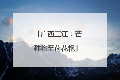 广西三江：芒种将至荷花艳
