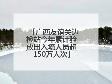 广西友谊关边检站今年累计验放出入境人员超150万人次