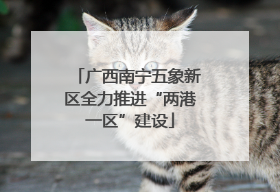 广西南宁五象新区全力推进“两港一区”建设