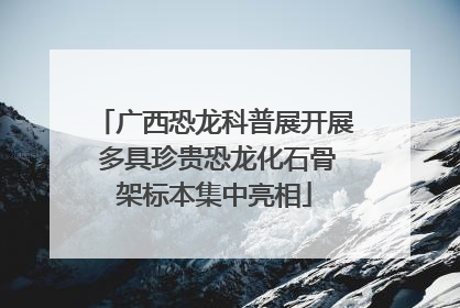 广西恐龙科普展开展 多具珍贵恐龙化石骨架标本集中亮相