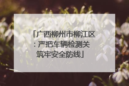 广西柳州市柳江区：严把车辆检测关 筑牢安全防线