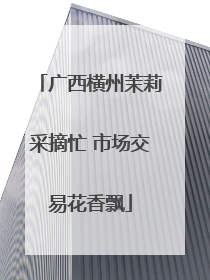 广西横州茉莉采摘忙 市场交易花香飘