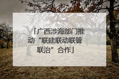 广西涉海部门推动“联建联动联管联治”合作