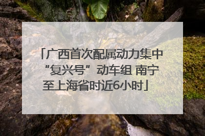 广西首次配属动力集中“复兴号”动车组 南宁至上海省时近6小时